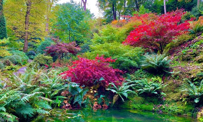 Reflecting Pool and Lower Valley, Plas Cadnant, Autumn, by Patrick Davies
